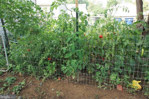 538 Carol St, Dover DE  19904-2958 exterior