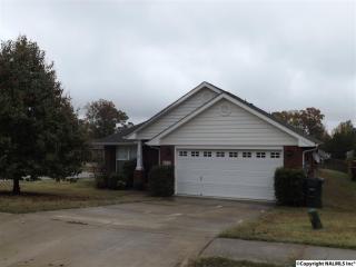 112 Gln Vw Dr, Madison AL  exterior