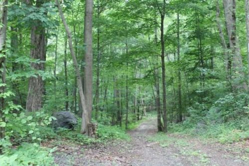 51 Mountain Rd, Brookfield Center, CT 06804-1908