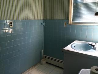 269 Hillside Ave, Williston Park NY  11596-2204 exterior