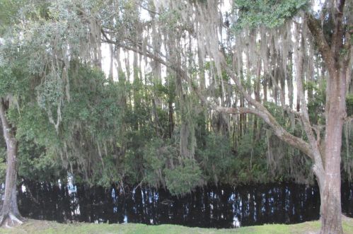 1717 Hammocks Ave, Lutz FL  33549-4203 exterior