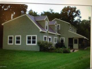 258 Halls Pond Rd, West Hebron, NY 12865-5006