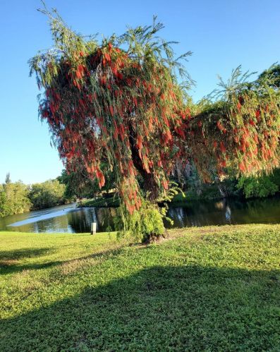202 Sparrow Dr, West Palm Beach, FL 33411-1306