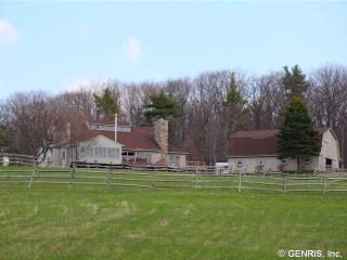 4690 Timber Wind Dr, Canandaigua, NY 14424-8383