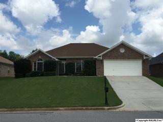 165 Joe Phillips Rd, Madison, AL 35758-9769