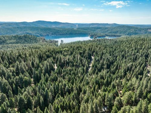 4267 Pine Forest Dr, Pacific House CA  95726-9510 exterior