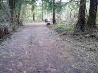 17150 10 Eyck Rd, Sandy OR  97055-8512 exterior