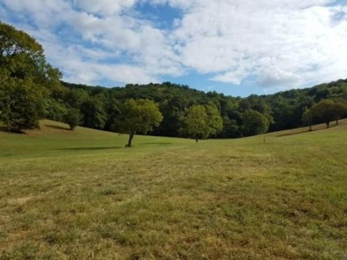 2201 Allisona Rd, Eagleville, TN 37060-4244