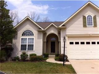 601 Shallow Creek Cir, Macedonia, OH 44067-5001