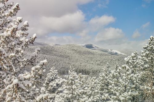 9085 Jill Dr, Conifer, CO 80433-9709