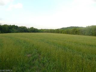 7610 Mcglade School Rd, Adams Mills, OH 43821-9744