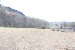 976 State Route 239, Wapwallopen, PA 18660-1011