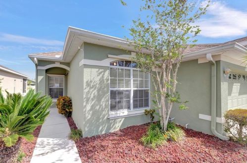 2906 Banyan Hill Ln, Land O Lakes, FL 34639-6785