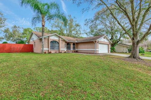 22115 Laver Ln, Land O Lakes, FL 34639-4548