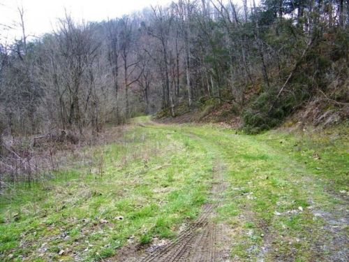 1028 Pumpkin Valley Rd, Eidson, TN 37731-7014