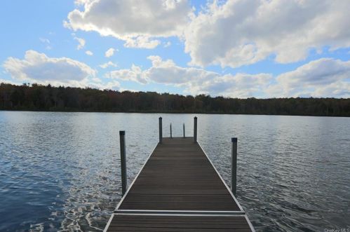 577 White Roe Lake Rd, Lew Beach, NY 12758-5659