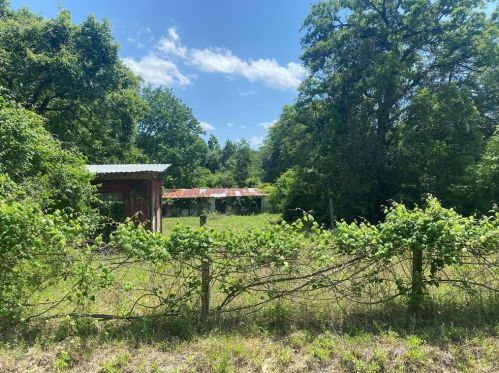 16554 Camelia Ln, Plantersville, TX 77363-7862
