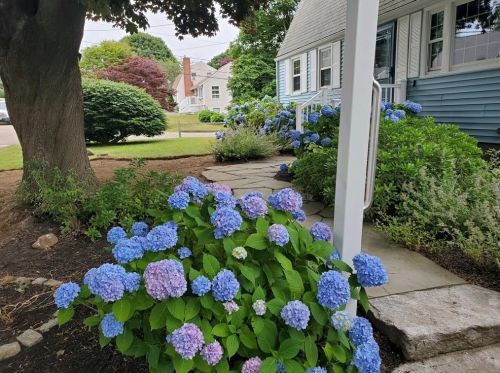 22 Hollywood Ave, South Kingstown RI  02882-4426 exterior
