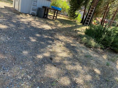 14159 Skyway, Nimshew CA  95954-9471 exterior