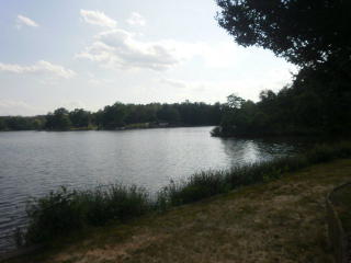 1012 Eagles Harbor Dr, Hodges, SC 29653-8803