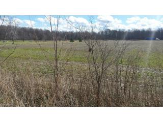 1402 Kneisel Rd, Vermilion, OH 44089