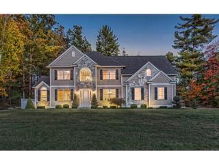 25 Tanager Way, Londonderry NH  03053-2595 exterior