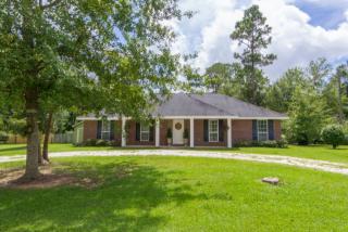 24940 Lavinia Ave, Elberta, AL 36530-2669