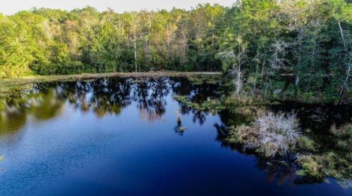 446 Mango Ln, Freeport, FL 32439-6686