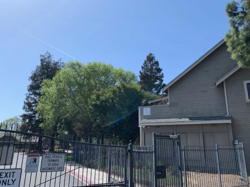 393 Shadow Run Dr, San Jose, CA 95110-3550