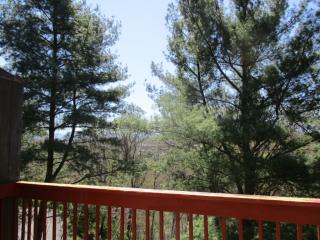 304 Hickory Blf, Johnson City TN  37601-1328 exterior