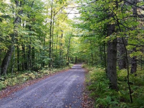 10409 Benoit Dr, Indian River, NY 13327