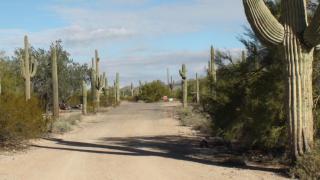 10220 Brown Rd, Mesa, AZ 85207-4516