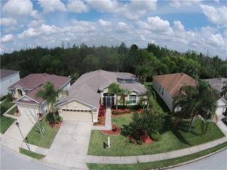 3222 Bellflower Way, Lakeland, FL 33811-3034