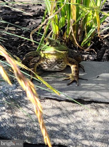 1139 Wilson Ave, Glen Mills PA  19342-9610 exterior