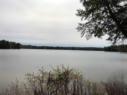 321 Davis Rd, Wakefield NH  03872 exterior