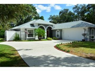 10408 Kankakee Ln, Riverview, FL 33578-8301