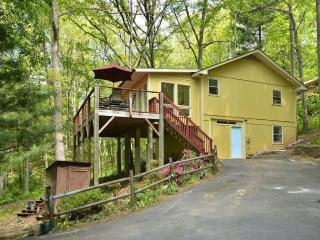 15 Ben Franklin Ln, Asheville, NC 28805-9739