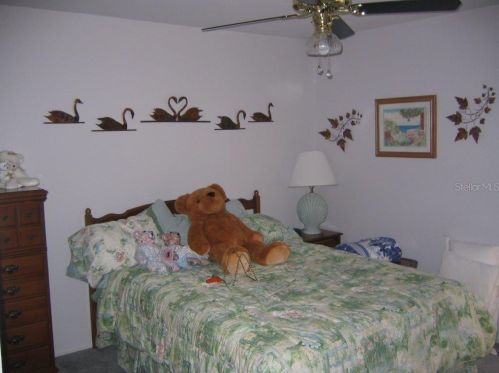 3664 Darston St, Palm Harbor FL  34685-1182 exterior