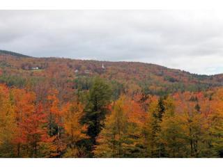 2 Abbott Rd, Townshend, VT 05359-9620