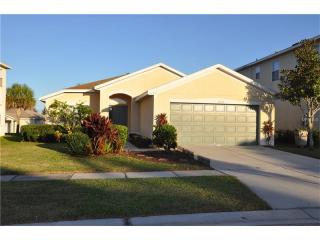 11414 Mountain Bay Dr, Riverview, FL 33569-2039