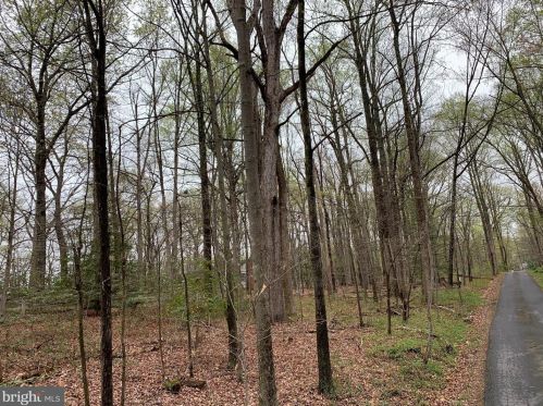 506 Springvale Rd, Great Falls, VA 22066-3436