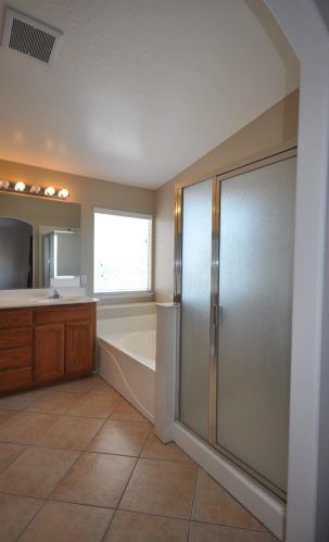 1697 Blush St, Manteca CA  95336-9238 exterior