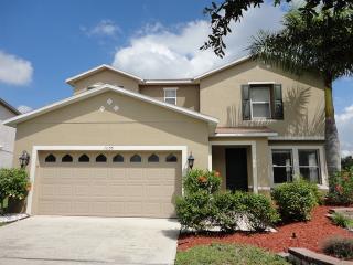 11155 Golden Silence Dr, Riverview FL  33579-2344 exterior
