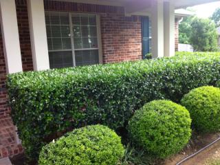 2828 Hollow Ridge Dr, Denton TX  76210-0338 exterior