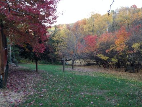 1816 Stonepine Bay, Hudson, WI 54016-5829