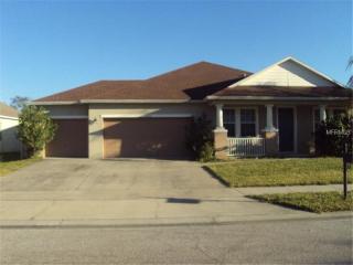 10222 Stratford Pointe Ave, Orlando, FL 32832-6017