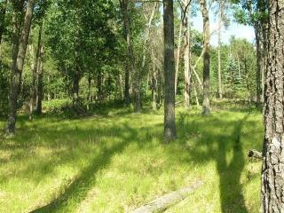 336 Timber Trl, Nekoosa, WI 54457-8191