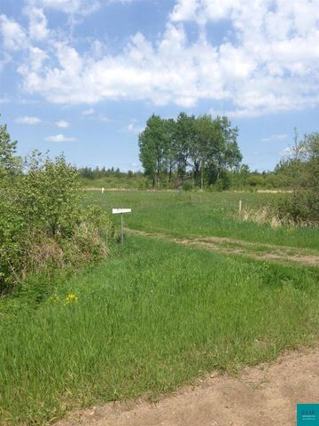 10243 Benson Rd, Halden, MN 55736