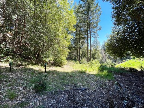 4116 Blackhawk Dr, Willits CA  95490-8777 exterior