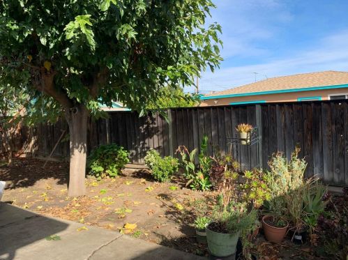 60 Eastwood Ct, San Jose, CA 95116-1226